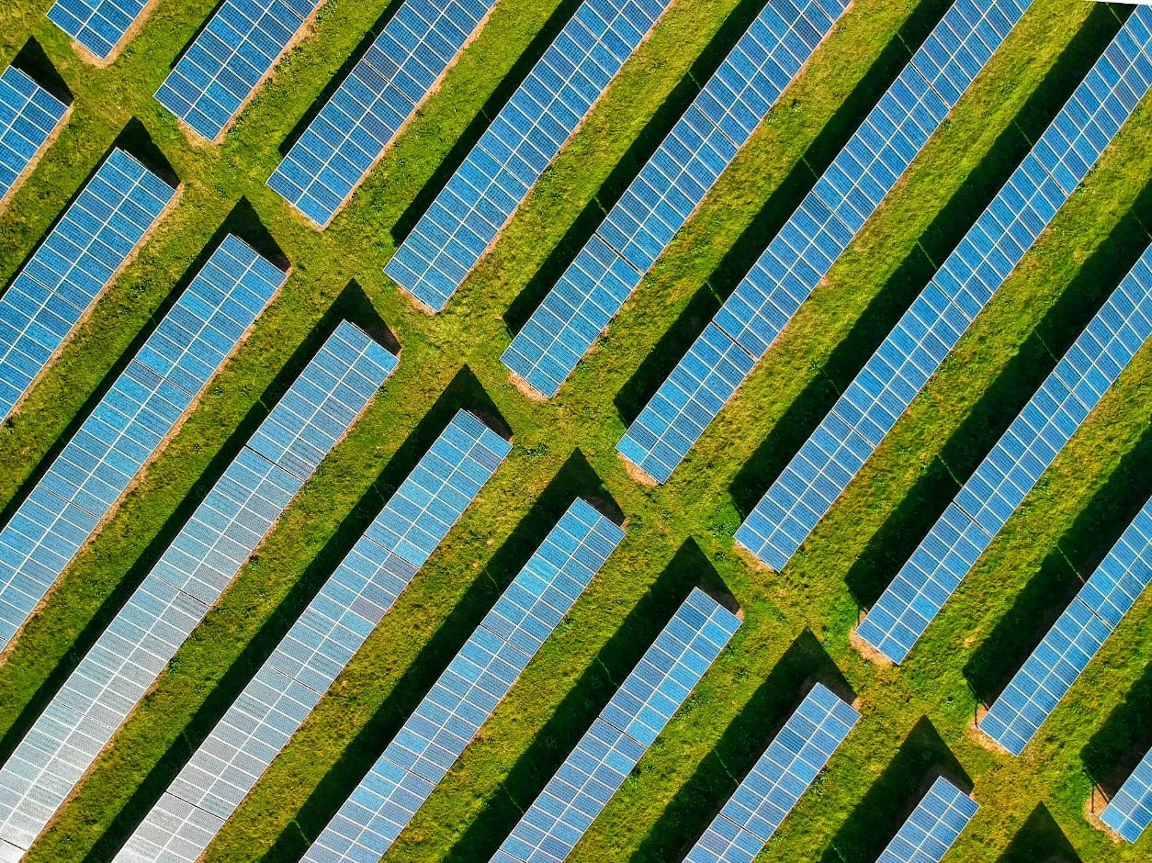 Image of a solar farm