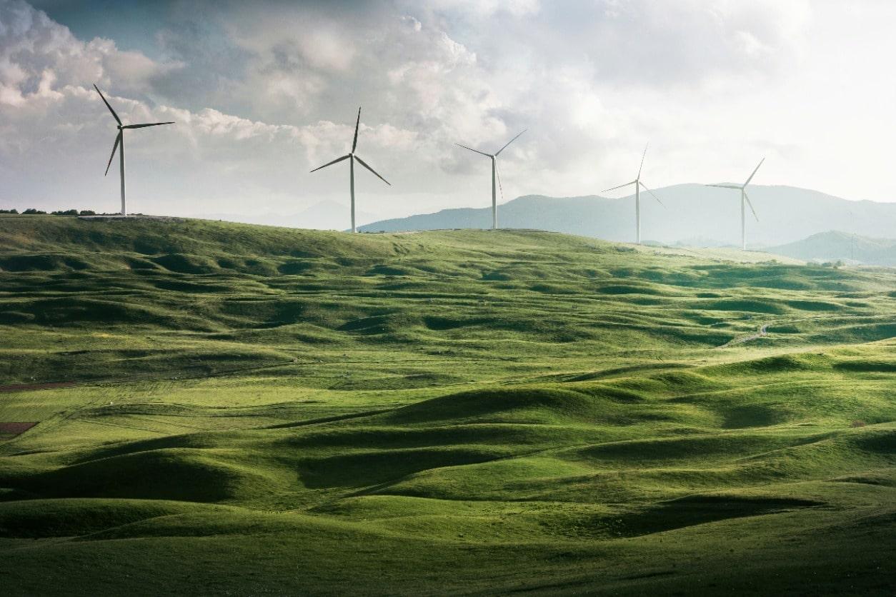 Image of wind turbines